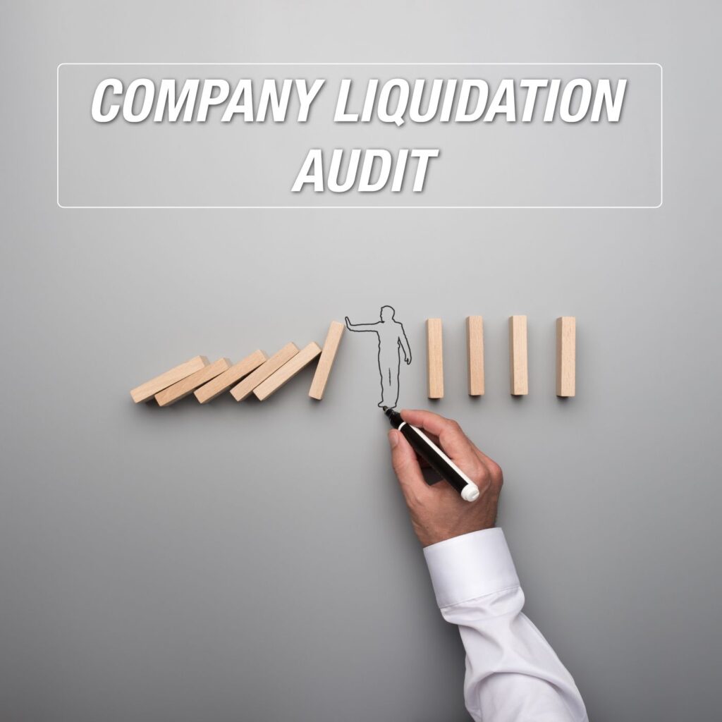 Company Liquidation Audit